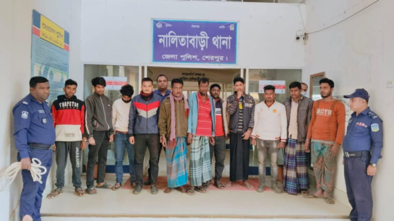 নালিতাবাড়ীতে পুলিশের অভিযানে গ্রেপ্তার ১১