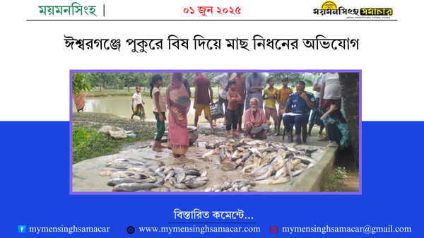ঈশ্বরগঞ্জে পুকুরে বিষ দিয়ে মাছ নিধনের অভিযোগ